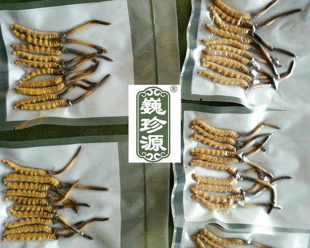 �r�x(ch��ng)��,���r���x(ch��ng)�Ĳ�,���r�x(ch��ng)�ݺ͸��x(ch��ng)���Ă�(g��)�I(y��ng)�B(y��ng)�r(ji��)ֵ��,���x(ch��ng)�Ĳ����r�ĺ͸ɵ��Ă�(g��)�I(y��ng)�B(y��ng)�r(ji��)ֵ��,���r�x(ch��ng)�ݺ͸��x(ch��ng)�ݠI(y��ng)�B(y��ng)�r(ji��)ֵ�Ă�(g��)����