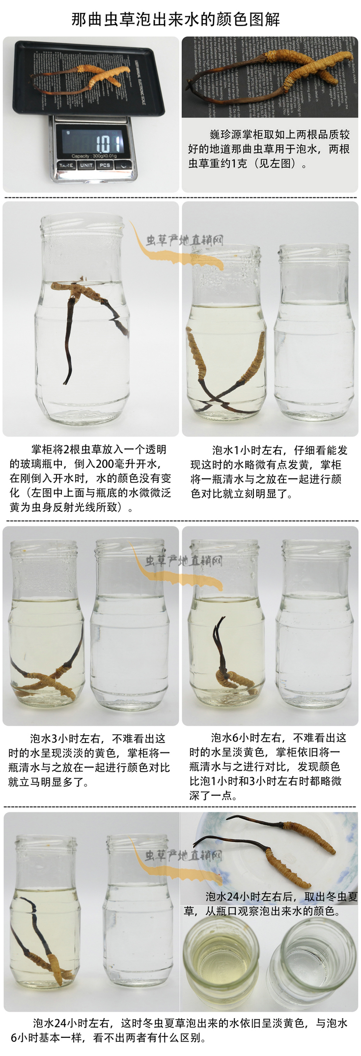 ���x�Ĳ��ݳ���ˮ���ɫ�����x�Ĳ��ݳ�����ˮ��ʲô�ɫ�����x�Ĳ���ˮ���ɫ��׃���ᣬ�����x�����^ˮ��ˮ׃��ʲô�ɫ