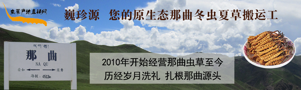 ���x(ch��ng)�Ĳ�,��B���������x(ch��ng)�������r�x(ch��ng)�ݺ��������r���x(ch��ng)�Ĳ�,���l(f��)�����x(ch��ng)�Ĳ݃r(ji��)��